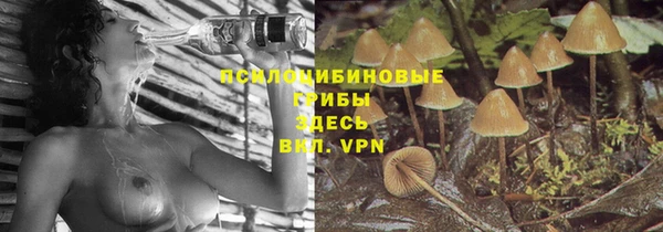 Альфа ПВП Вязьма
