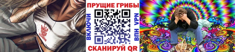 Псилоцибиновые грибы Psilocybe  купить  цена  Невинномысск 